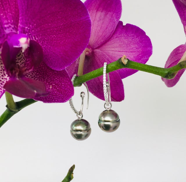 Tahitian Pearl Interchangeable Earrings